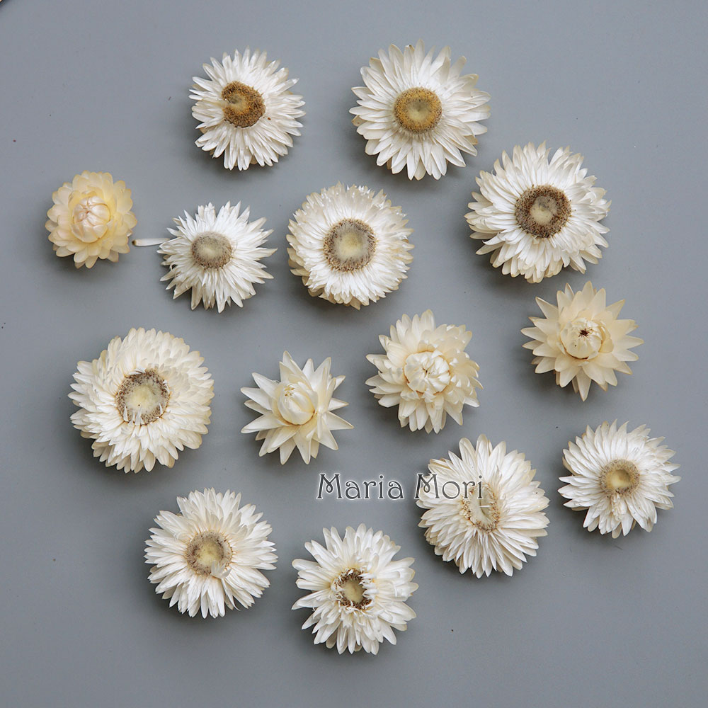 เครื่องประดับผมแฮนด์เมดทำจากพว - Xmas Candle Making บทวิจารณ์และราคา