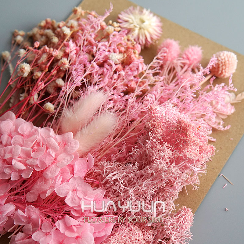 1 แพ็คพืชประดิษฐ์แห้งดอกไม้จริ - Xmas Candle Making บทวิจารณ์และราคา