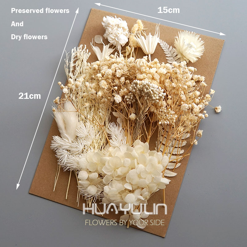 1 แพ็คพืชประดิษฐ์แห้งดอกไม้จริ - Xmas Candle Making บทวิจารณ์และราคา
